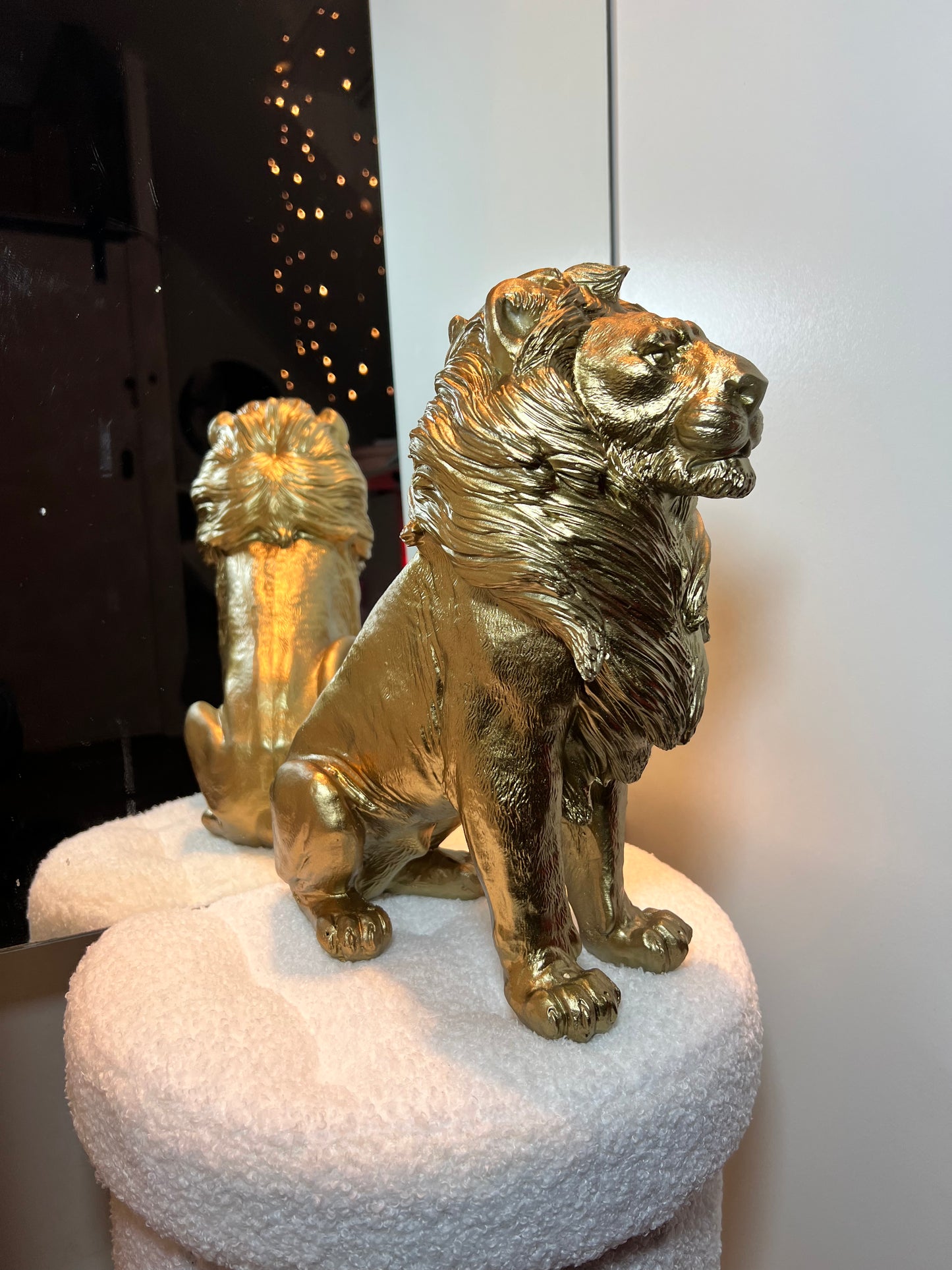 HV Golden Lion- Zittend