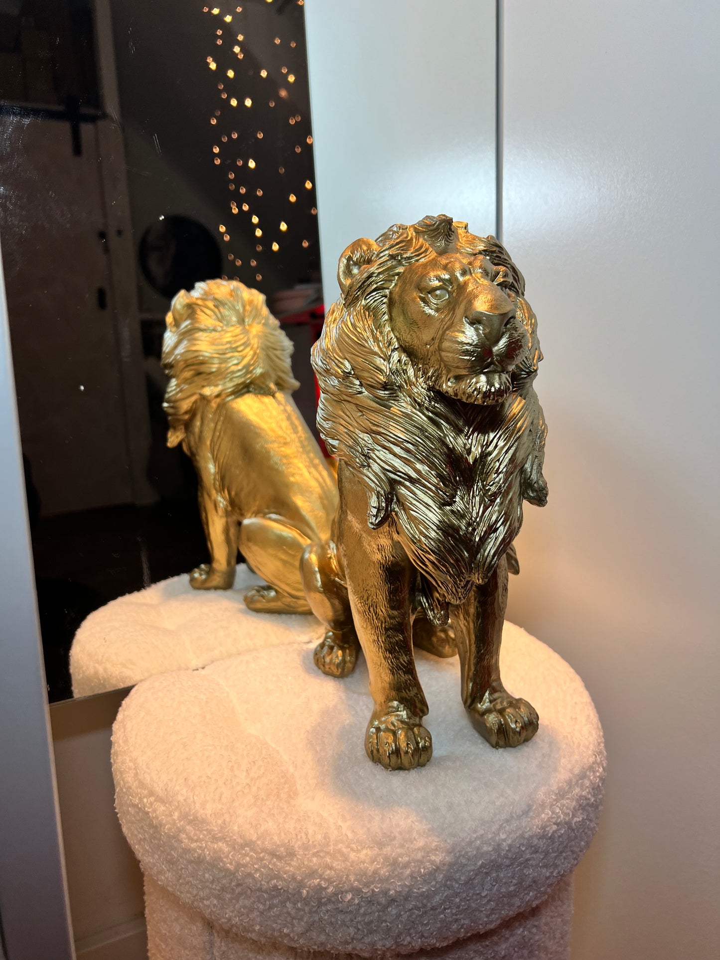 HV Golden Lion- Zittend